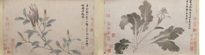 图片[1]-Shen Zhou Xinyi ink vegetable scroll-China Archive